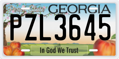 GA license plate PZL3645