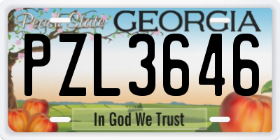 GA license plate PZL3646