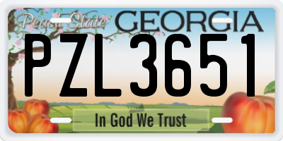 GA license plate PZL3651