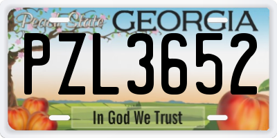 GA license plate PZL3652