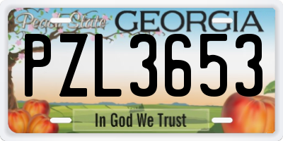 GA license plate PZL3653