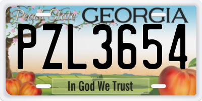 GA license plate PZL3654