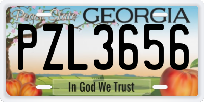 GA license plate PZL3656