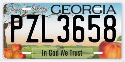 GA license plate PZL3658