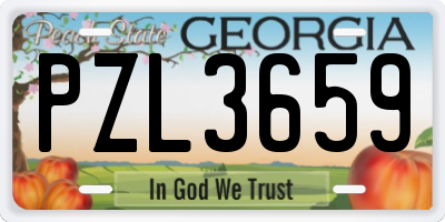 GA license plate PZL3659