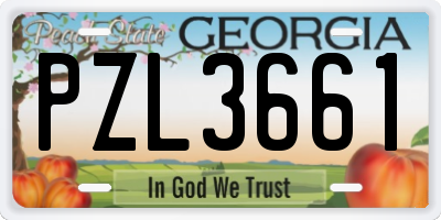 GA license plate PZL3661