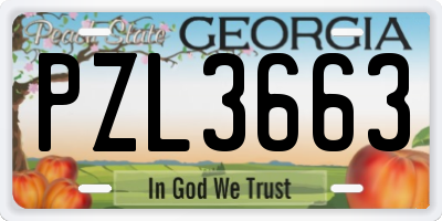 GA license plate PZL3663