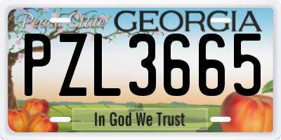 GA license plate PZL3665