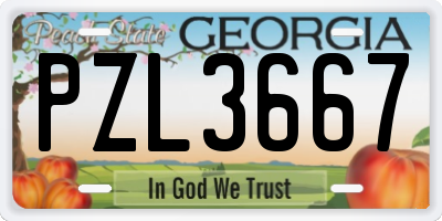 GA license plate PZL3667