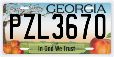 GA license plate PZL3670