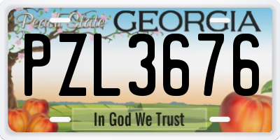 GA license plate PZL3676