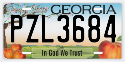 GA license plate PZL3684