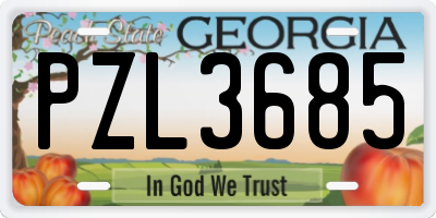 GA license plate PZL3685