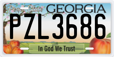 GA license plate PZL3686