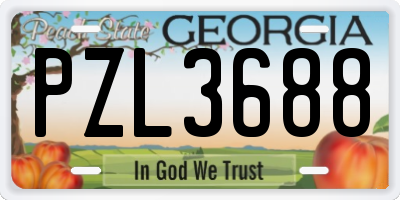 GA license plate PZL3688
