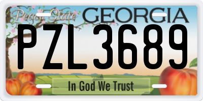 GA license plate PZL3689