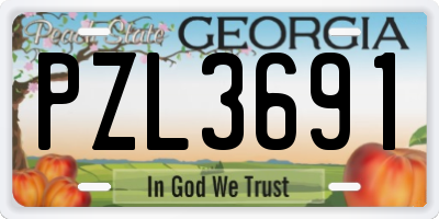 GA license plate PZL3691