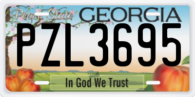 GA license plate PZL3695