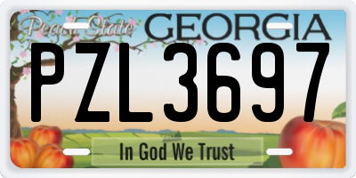 GA license plate PZL3697