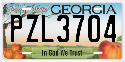 GA license plate PZL3704