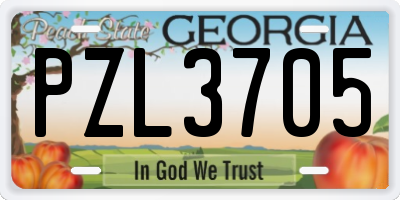 GA license plate PZL3705