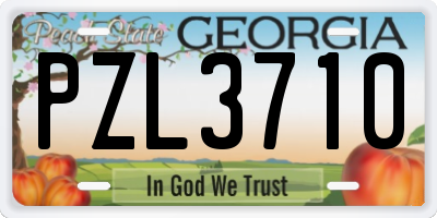 GA license plate PZL3710