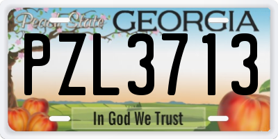 GA license plate PZL3713
