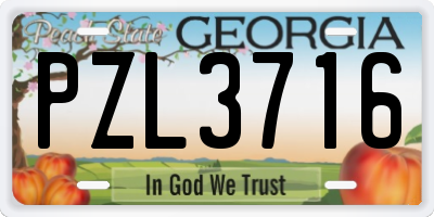 GA license plate PZL3716