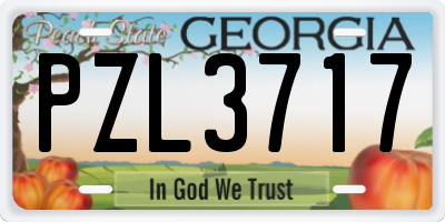 GA license plate PZL3717