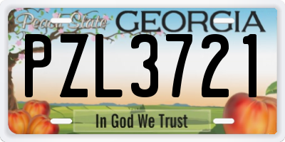GA license plate PZL3721