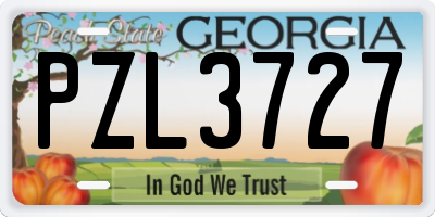 GA license plate PZL3727