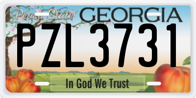 GA license plate PZL3731