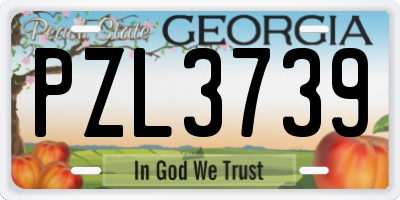 GA license plate PZL3739