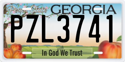 GA license plate PZL3741
