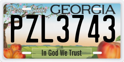GA license plate PZL3743