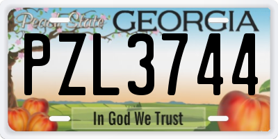 GA license plate PZL3744