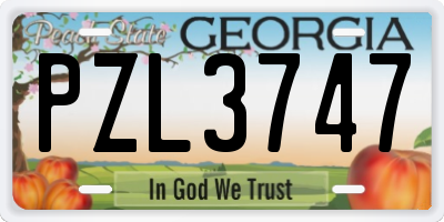 GA license plate PZL3747