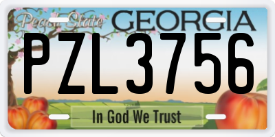 GA license plate PZL3756