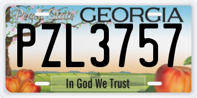 GA license plate PZL3757