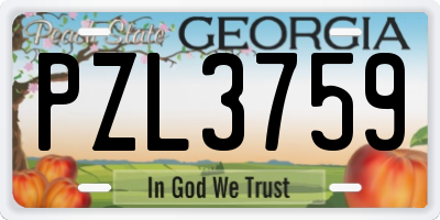 GA license plate PZL3759