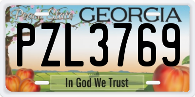 GA license plate PZL3769