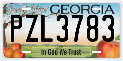 GA license plate PZL3783