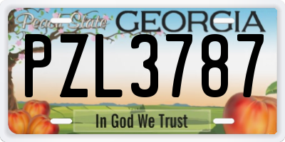 GA license plate PZL3787