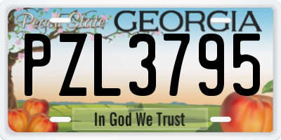 GA license plate PZL3795