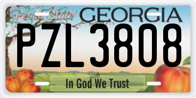 GA license plate PZL3808