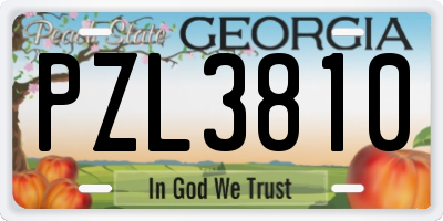 GA license plate PZL3810
