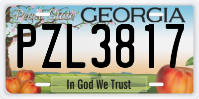GA license plate PZL3817