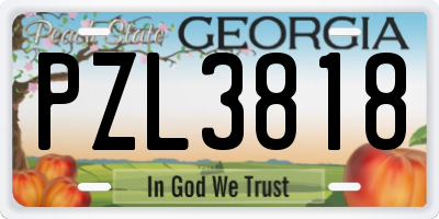 GA license plate PZL3818