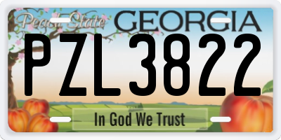 GA license plate PZL3822