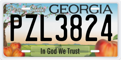 GA license plate PZL3824